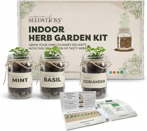 Indoor Herb Garden Kit