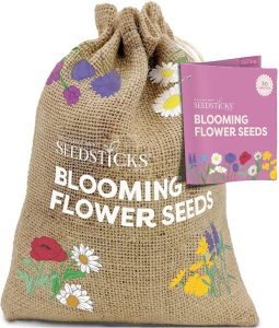 Blooming Flower Seeds Starter Kit